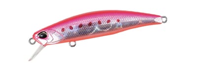 pink sardine_1.jpg