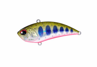 Duo Realis Vibration G-fix Yamame Red Belly.png